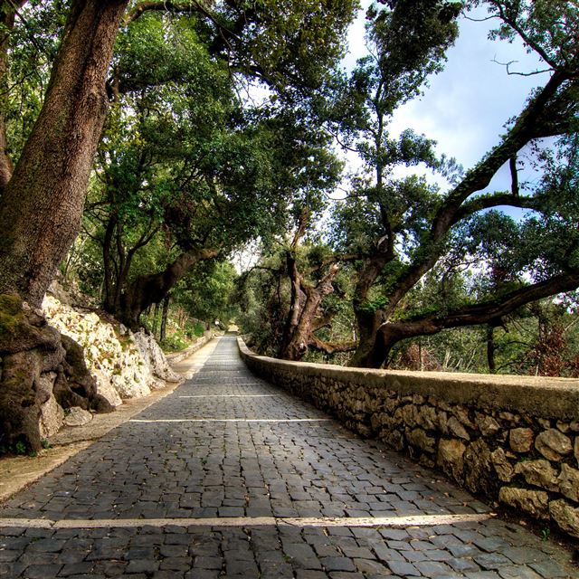 2048x2048 Cobblestone path - road iPad Air Wallpaper
