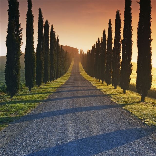 2048x2048 Trees Italy Roads - trees iPad Air Wallpaper