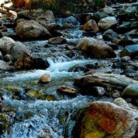 Stones River wallpaper