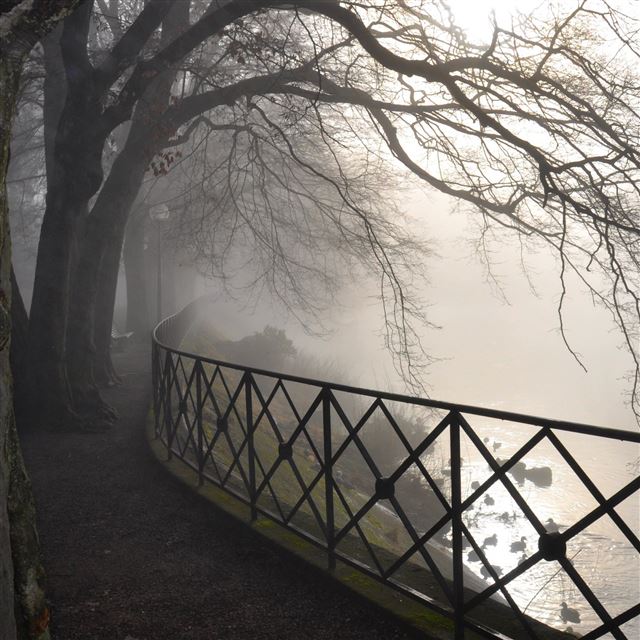 2048x2048 Foggy River - river iPad Air Wallpaper