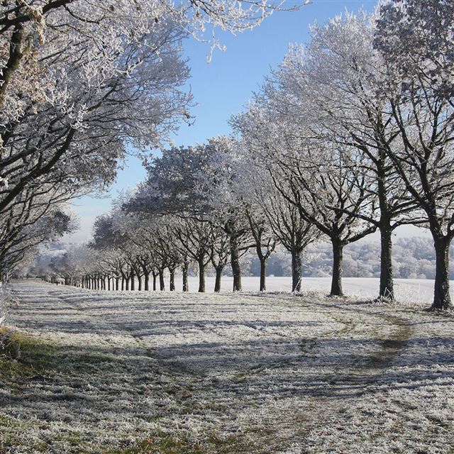 2048x2048 Winter Alley - alley iPad Air Wallpaper