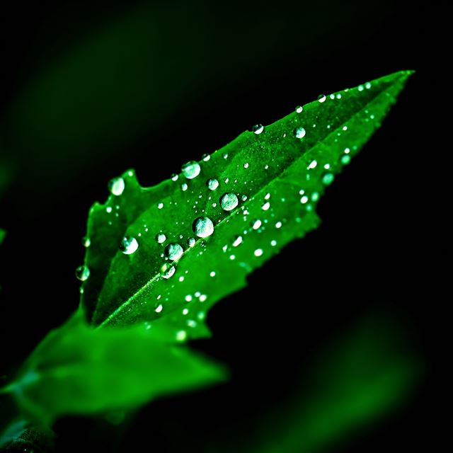 2048x2048 All The Little Details - water iPad Air Wallpaper