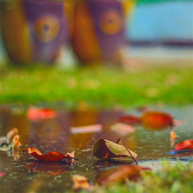 2048x2048 Leafs - bokeh iPad Air Wallpaper