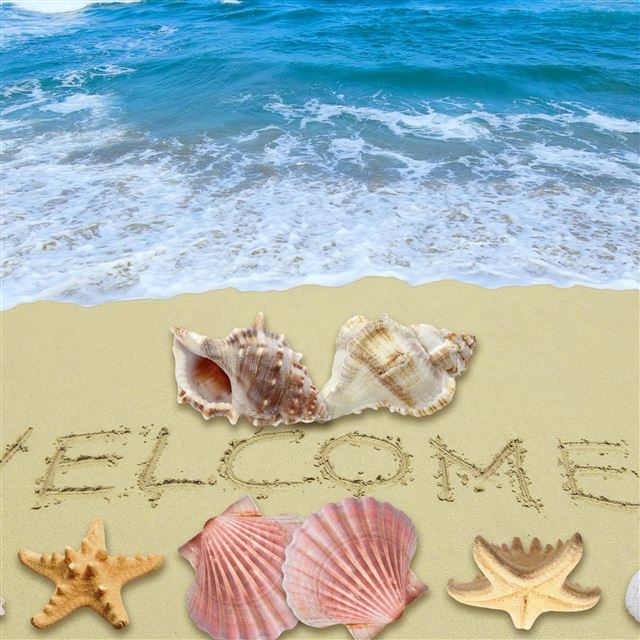 2048x2048 Welcome Summer - water iPad Air Wallpaper