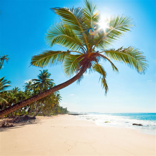 2048x2048 Tropical Sunshine - sunshine iPad Air Wallpaper