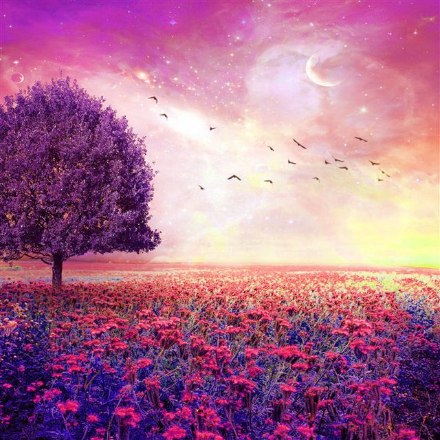 2048x2048 Fairy Dreamy Nature Flower Garden -  iPad Air Wallpaper