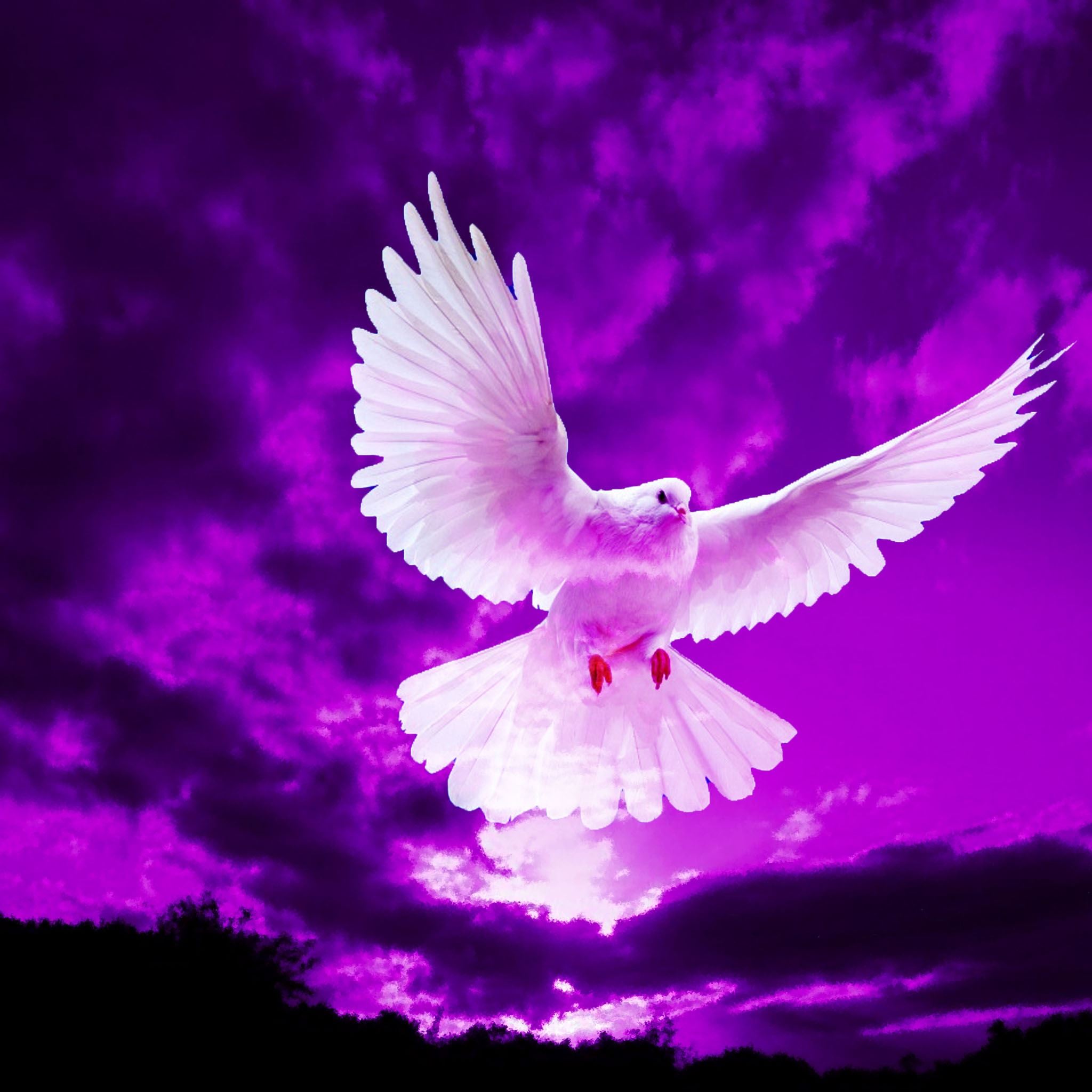 Pigeon Flying In Purple Sky iPad Air wallpaper 