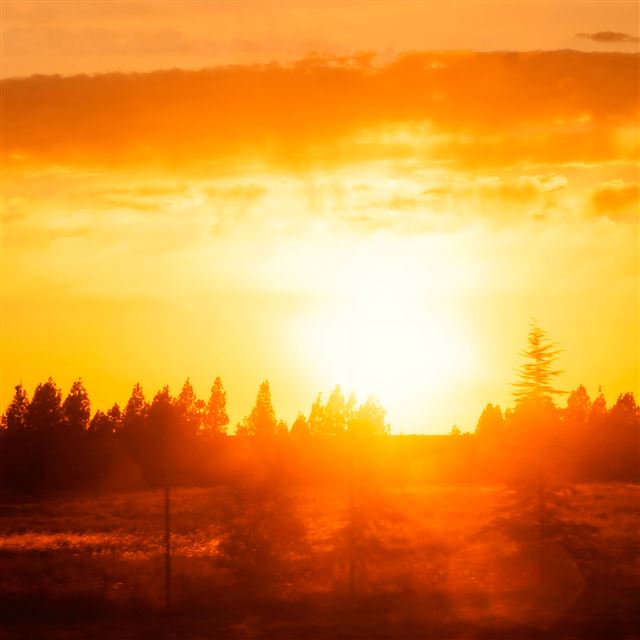 2048x2048 Sunset Sunshine - sunshine iPad Air Wallpaper