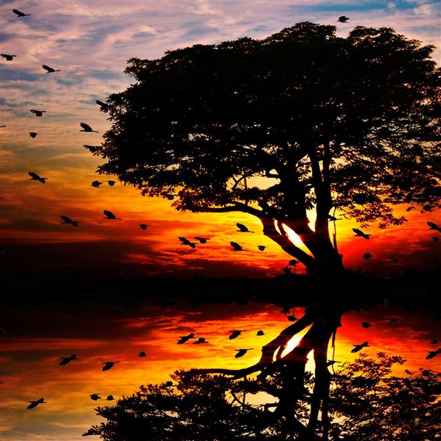 2048x2048 The sunset - the sky iPad Air Wallpaper
