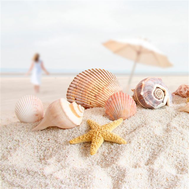 2048x2048 Starfish - umbrella iPad Air Wallpaper