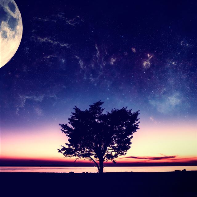 2048x2048 Wonderful Sunset Tree - pink iPad Air Wallpaper