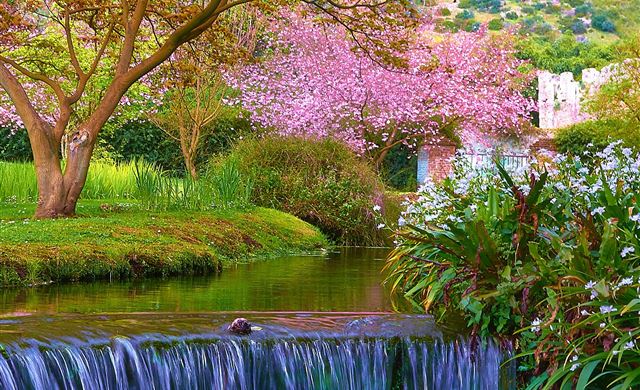 2048x2048 Nature Spring Scene - pink iPad Air Wallpaper