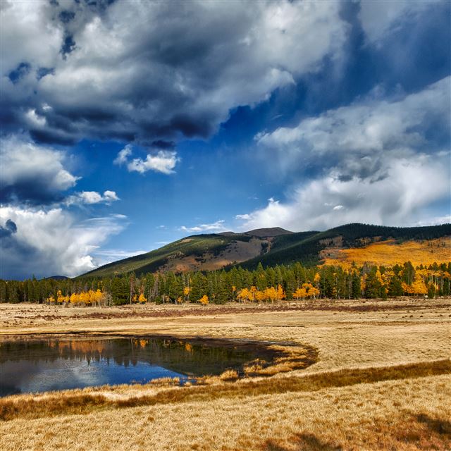 2048x2048 Aspen Wetland - landscape iPad Air Wallpaper