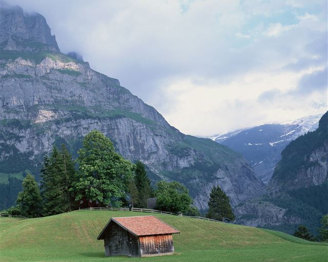 2048x2048 Nature Mountain House - trees iPad Air Wallpaper