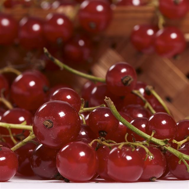 2048x2048 Cute Sweet Fruit -  iPad Air Wallpaper