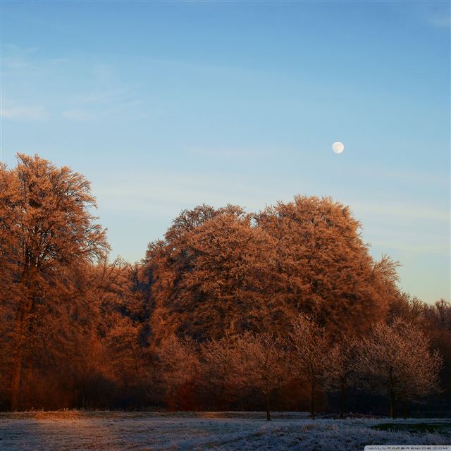 2048x2048 Winter Sunset Utrecht -  iPad Air Wallpaper