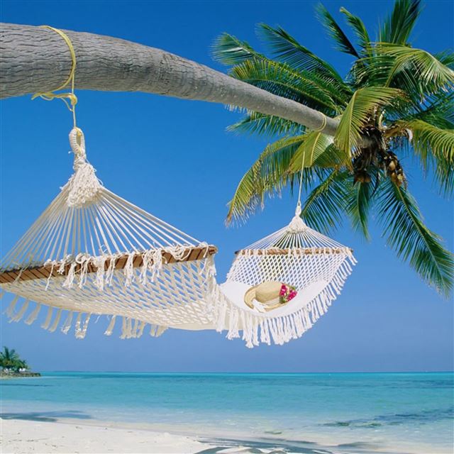 2048x2048 Tropical Beach Bed - green iPad Air Wallpaper