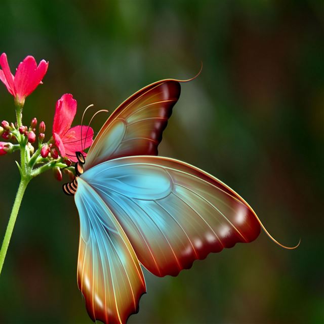 2048x2048 Silky Butterfly Art - flower iPad Air Wallpaper
