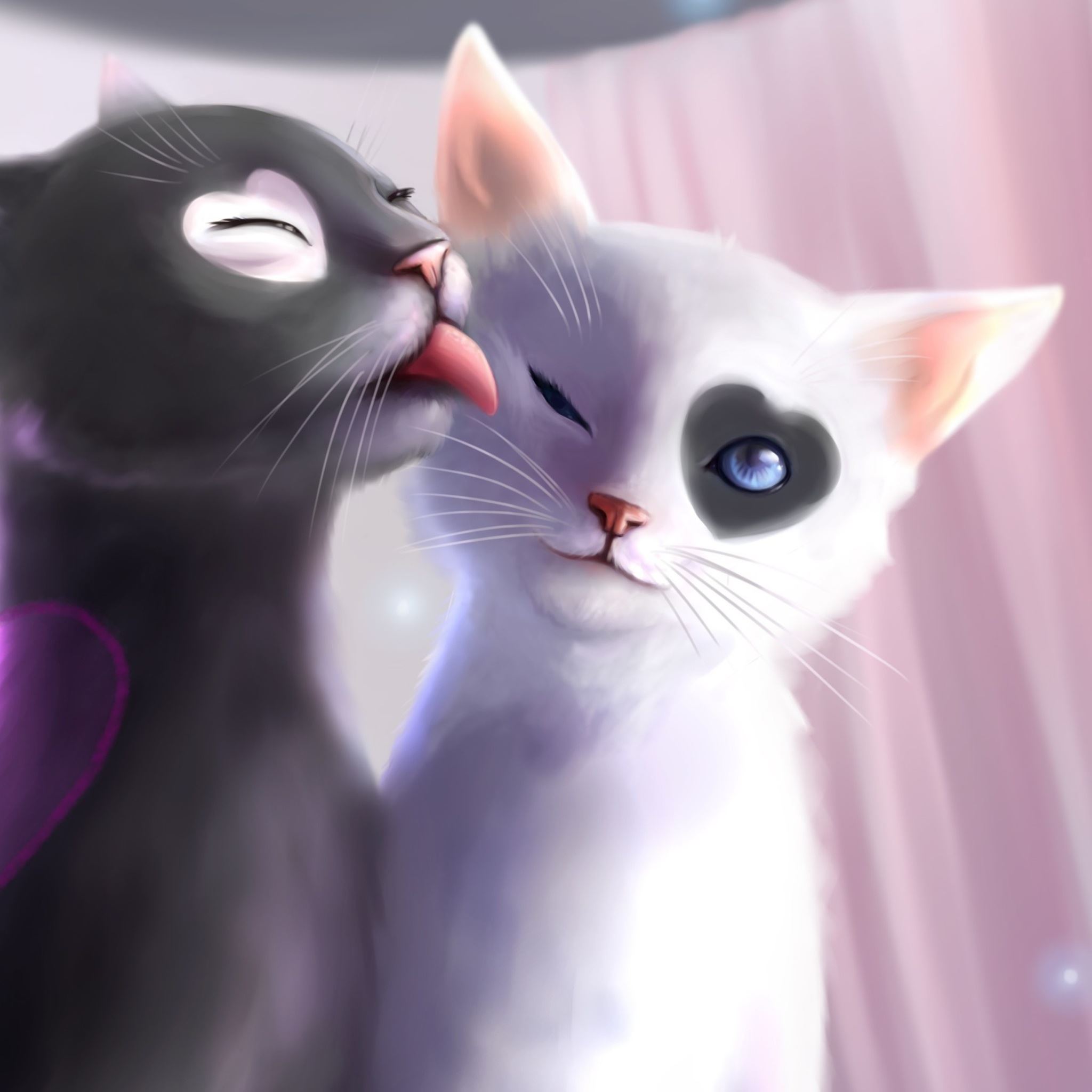 Romantic Love Cats iPad Air wallpaper 