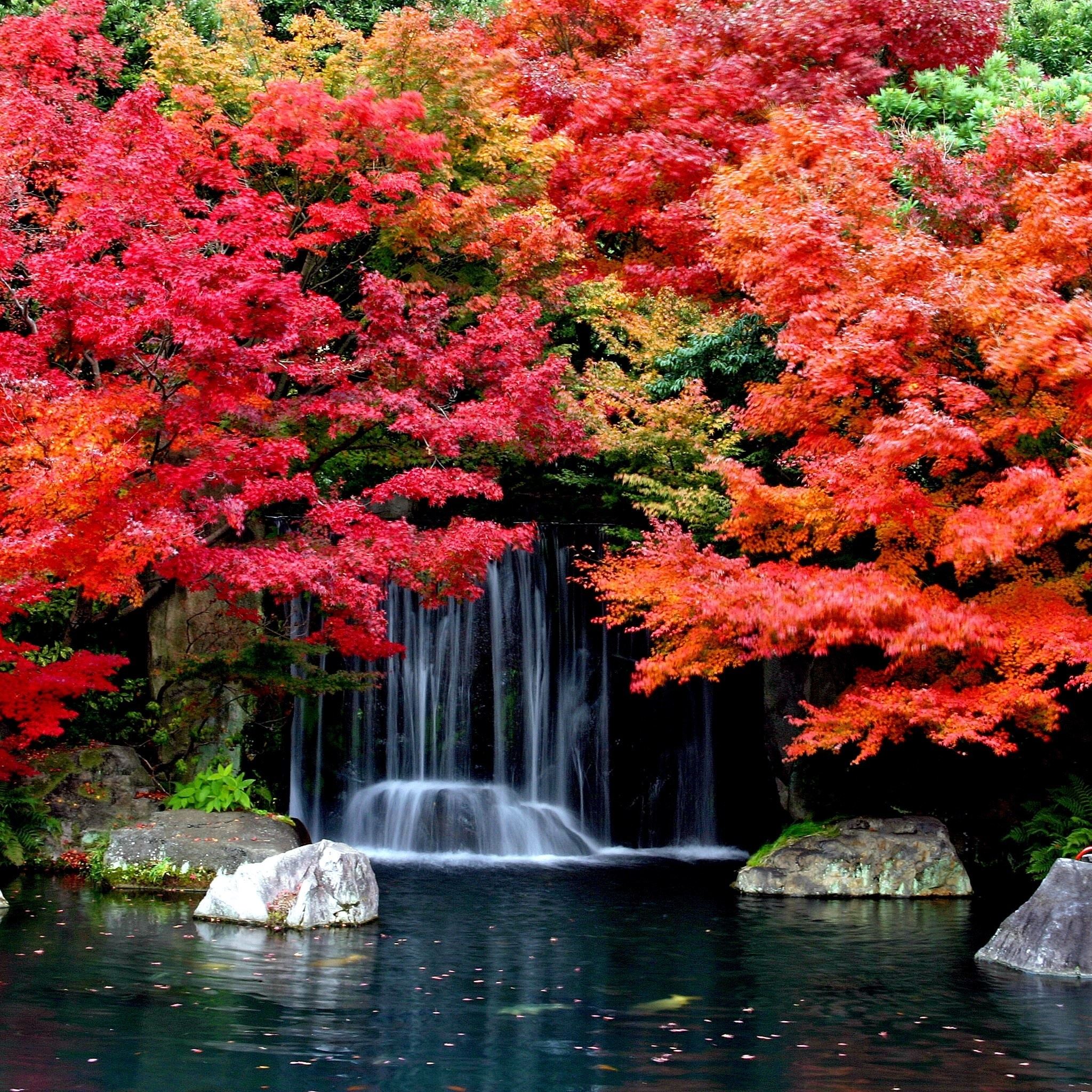 Cool Autumn Waterfall iPad Air wallpaper 