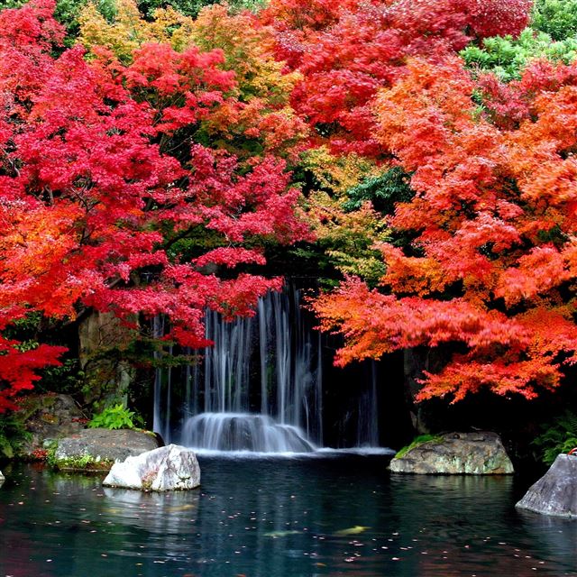 2048x2048 Cool Autumn Waterfall - landscape iPad Air Wallpaper