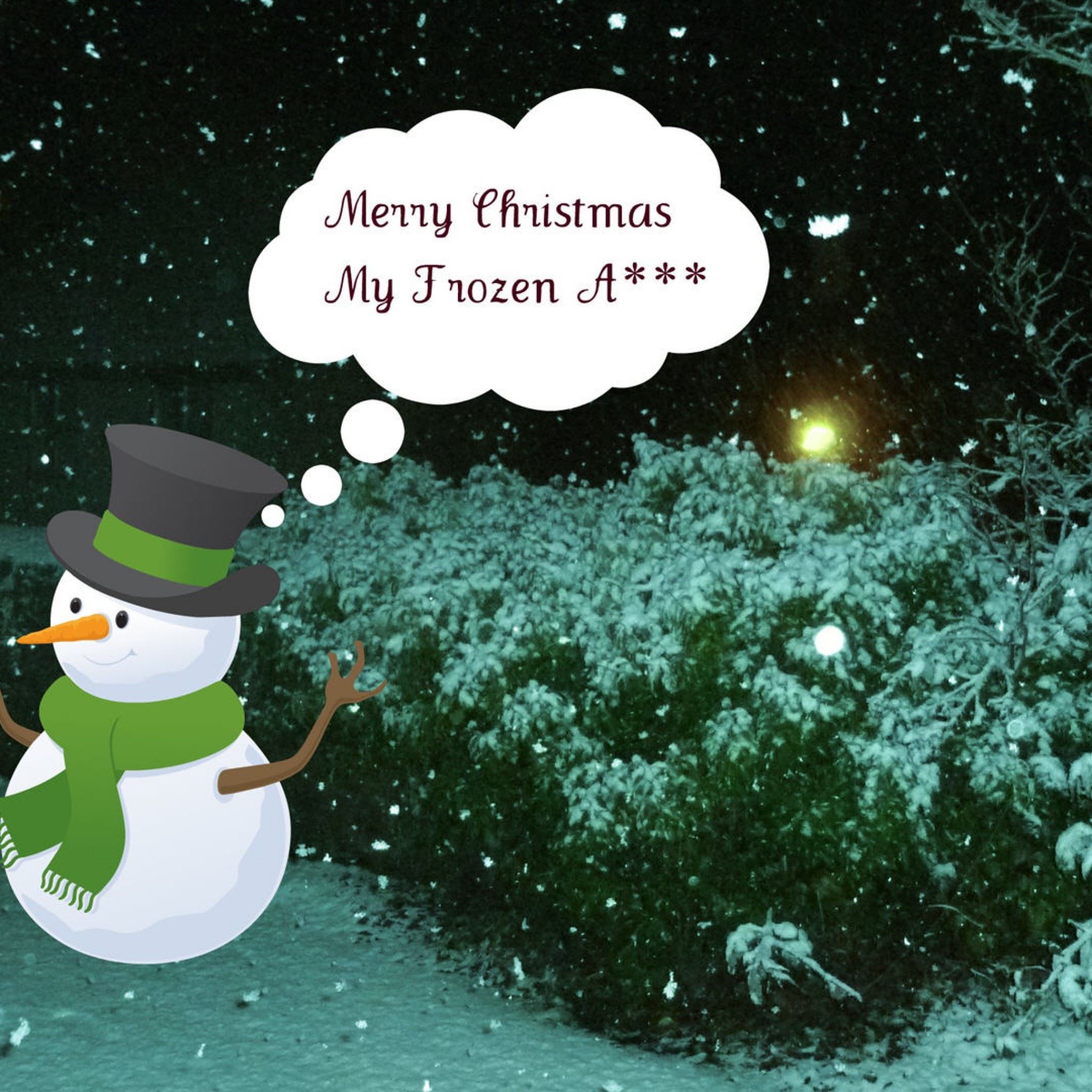 Fuuny Snowman Wish You Merry Christmas iPad Air wallpaper 