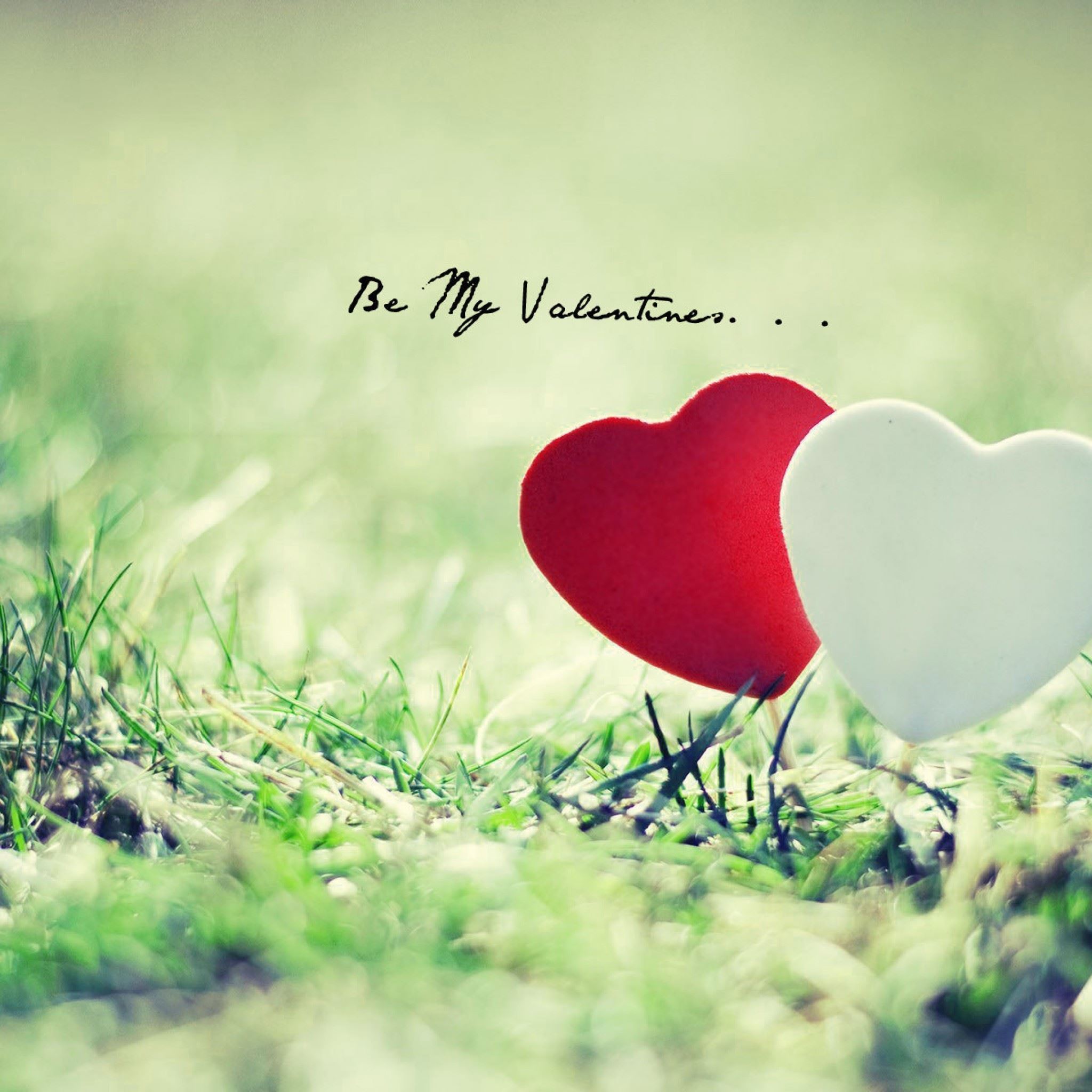 Be My Valentine Hearts Grass iPad Air wallpaper 