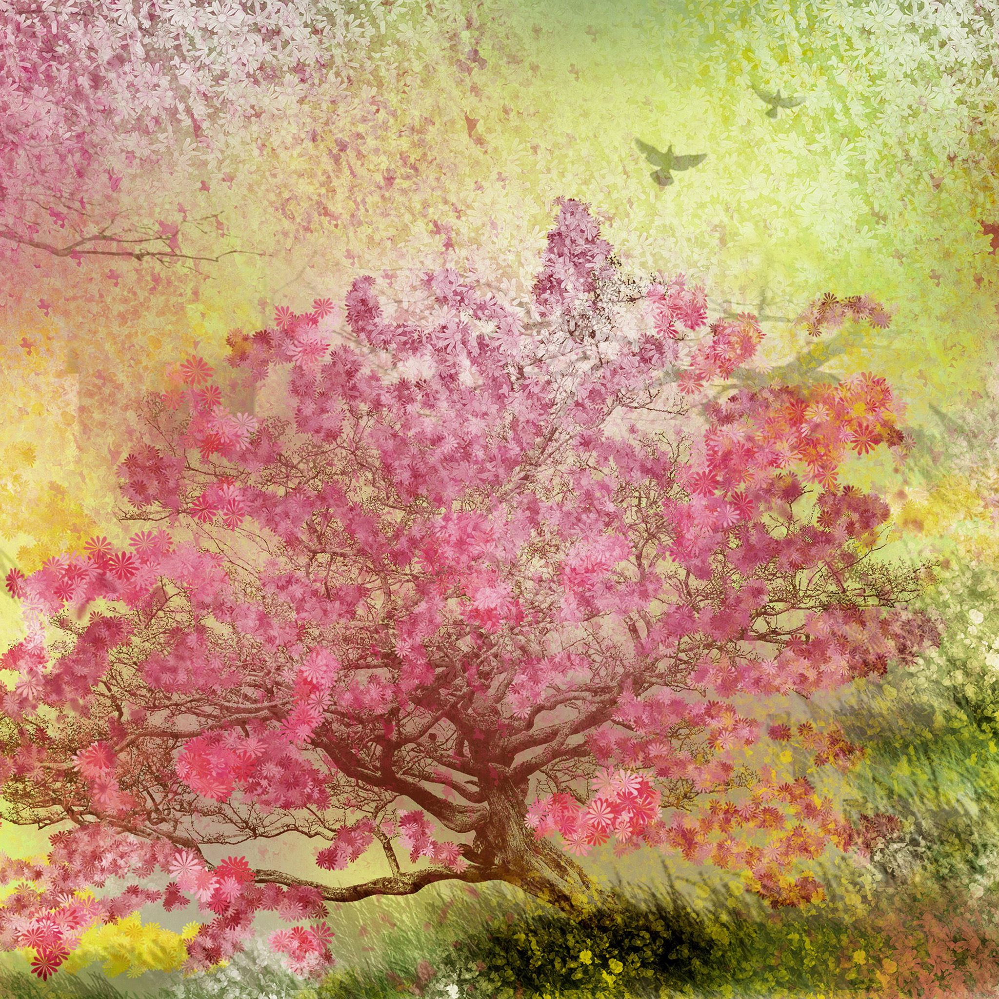Nature Spring Blossom Trees  iPad Air wallpaper 