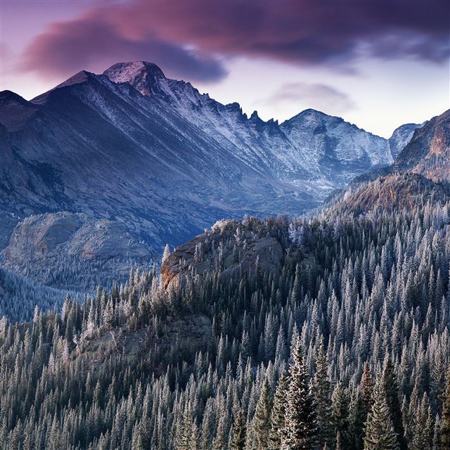 2048x2048 Winter Mountain Woods Tree Nature Cold - purple iPad Air Wallpaper
