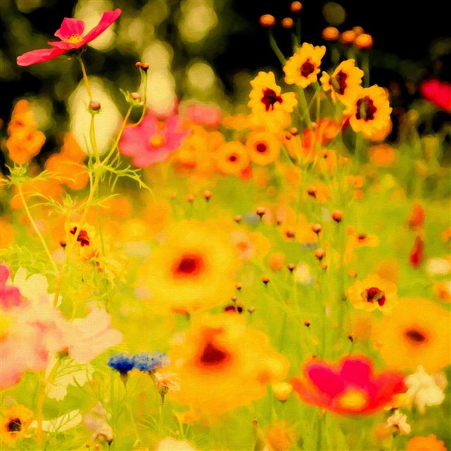 2048x2048 Flower Garden In Riotous Profusion - flower iPad Air Wallpaper