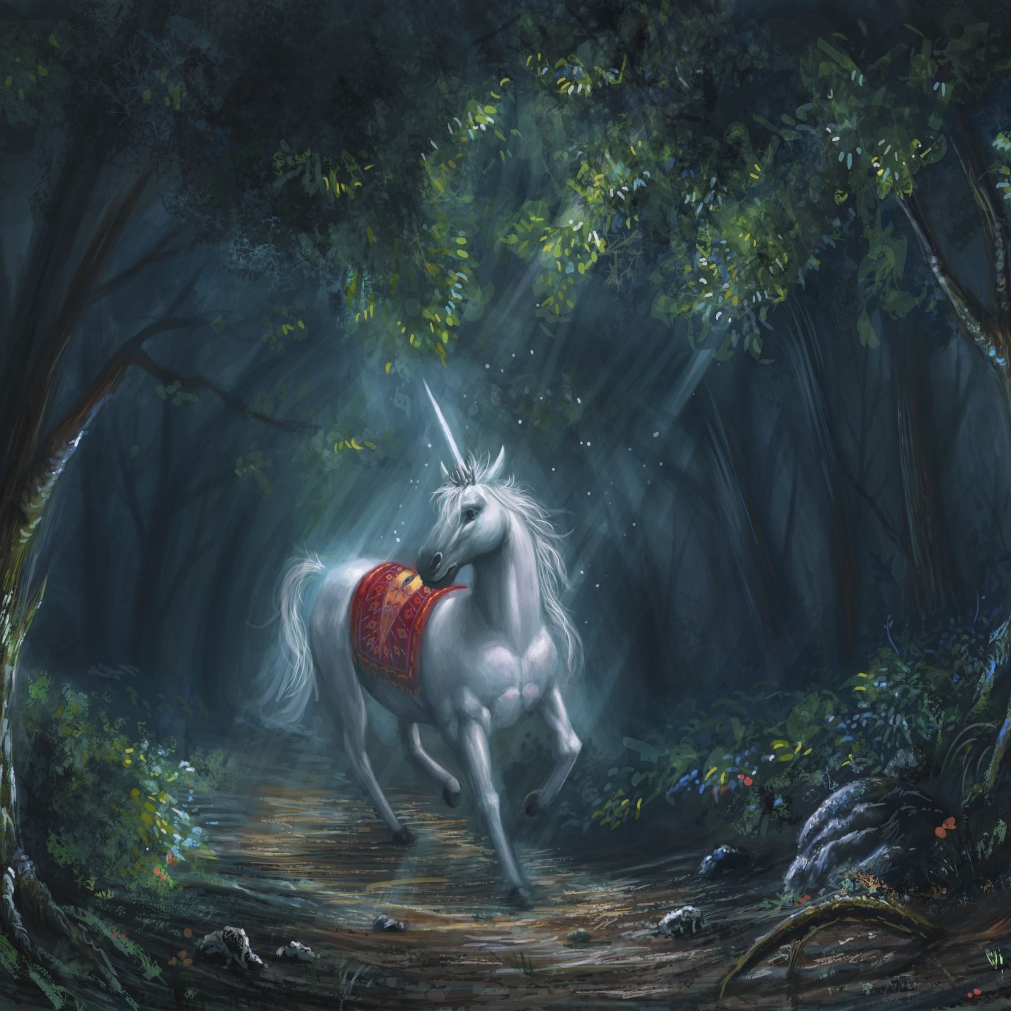 Woodland Unicorn Artwork iPad Air Wallpapers Free Download