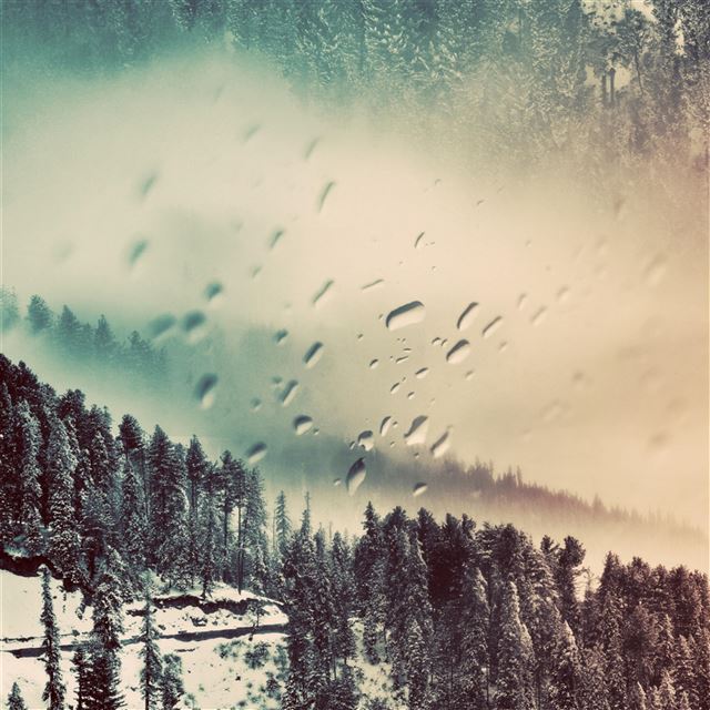 2048x2048 Snowy Pine Forest Outside Wet Glass -  iPad Wallpaper