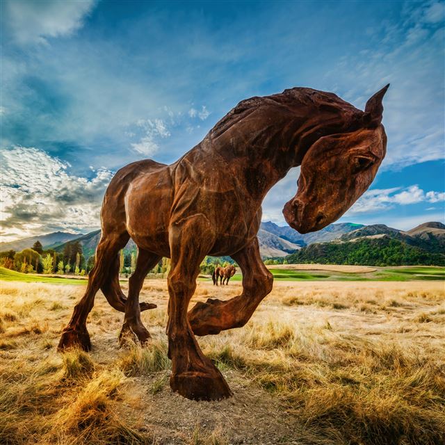 2048x2048 Wild Horse In Grassland - white iPad Air Wallpaper