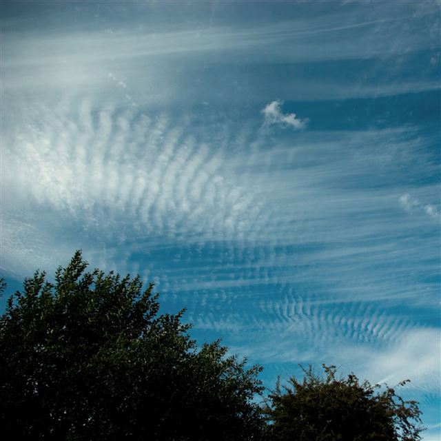 2048x2048 Sunshine Light Clouds Sky - sunshine iPad Air Wallpaper