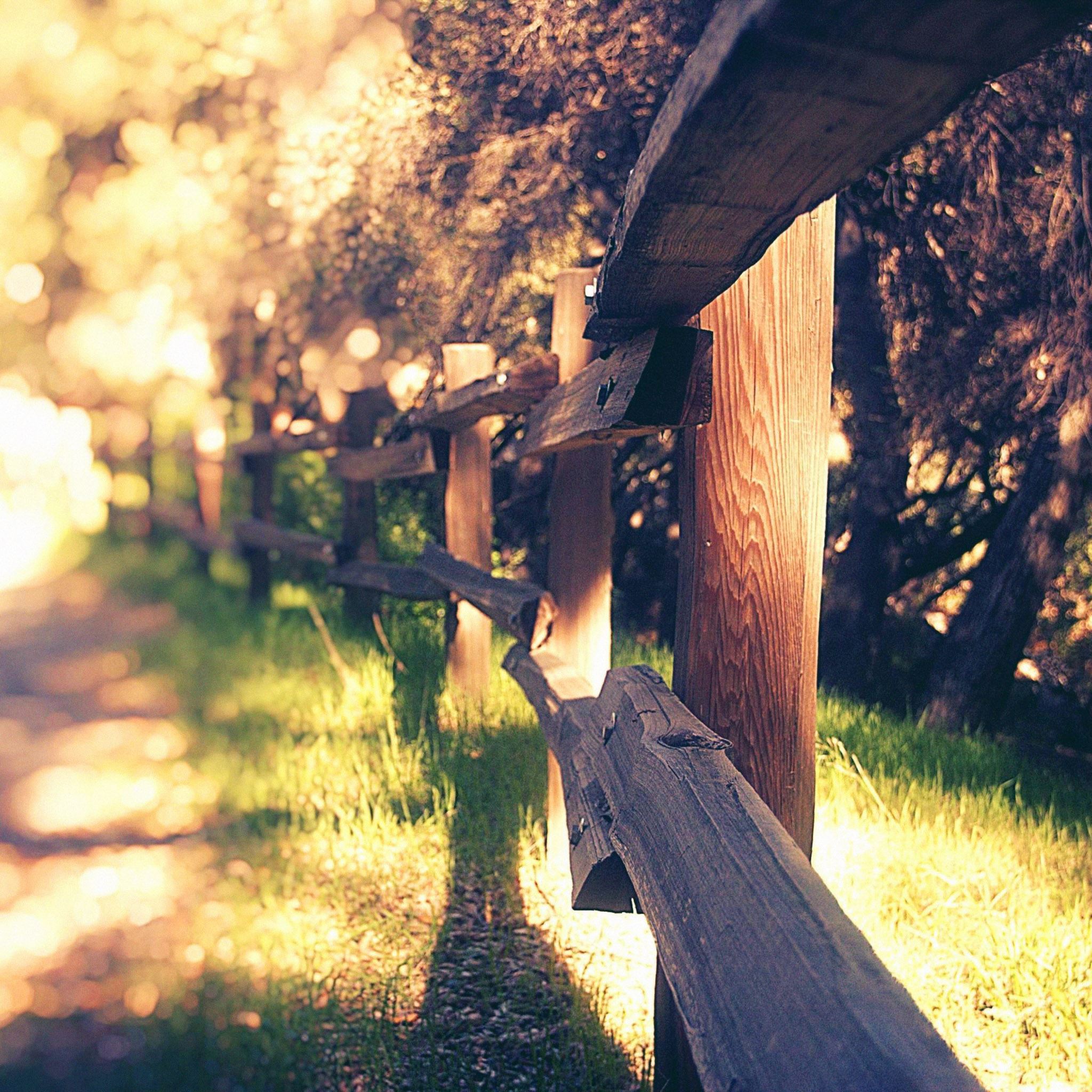 Mountain Fence  Sunny Day iPad Air wallpaper 