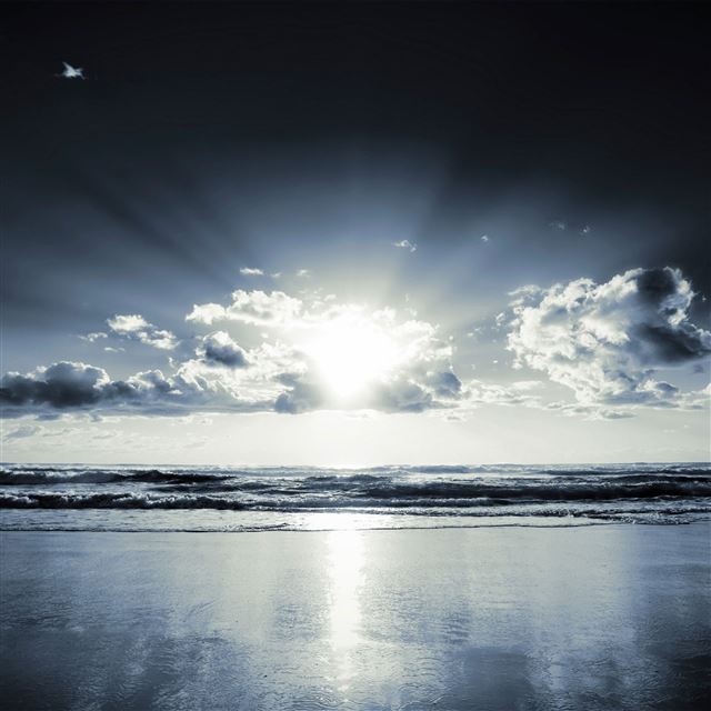 2048x2048 Beach Sunset Black White - sunlight iPad Air Wallpaper