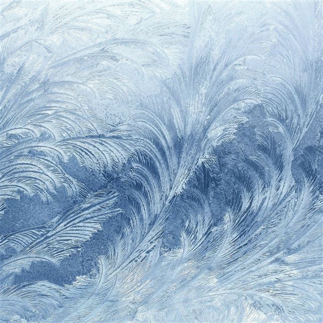 2048x2048 Winter Snow Window Cold Pattern - window iPad Air Wallpaper