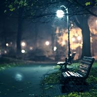 Lonely Beach In The Park Street Light wallpaper