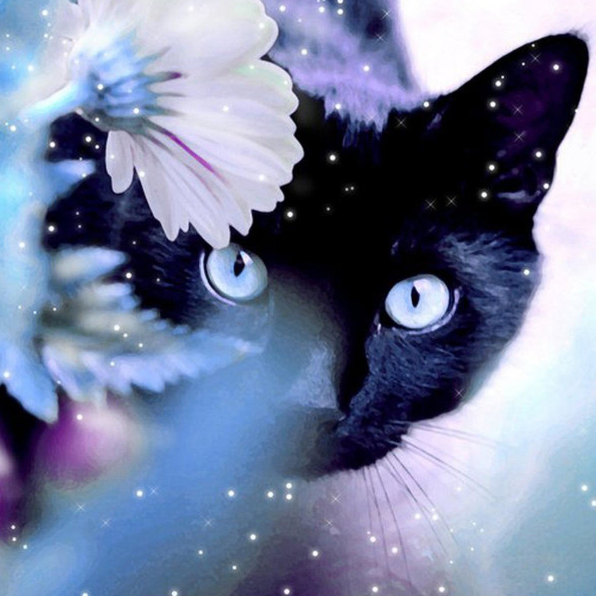 Mystery Black Cat Behind Shiny Flower iPad Air wallpaper 