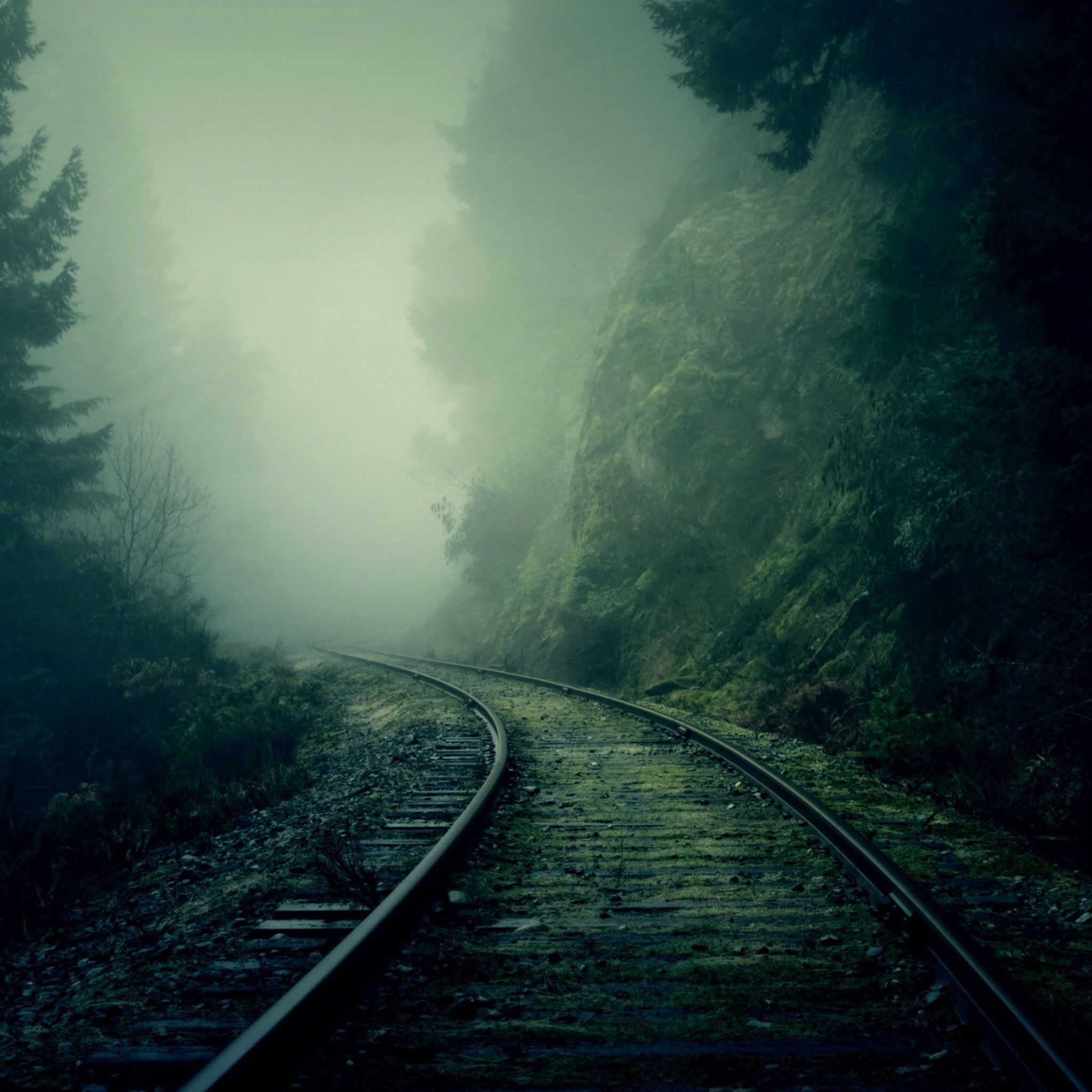Foggy Train Tracks Forest iPad Air wallpaper 