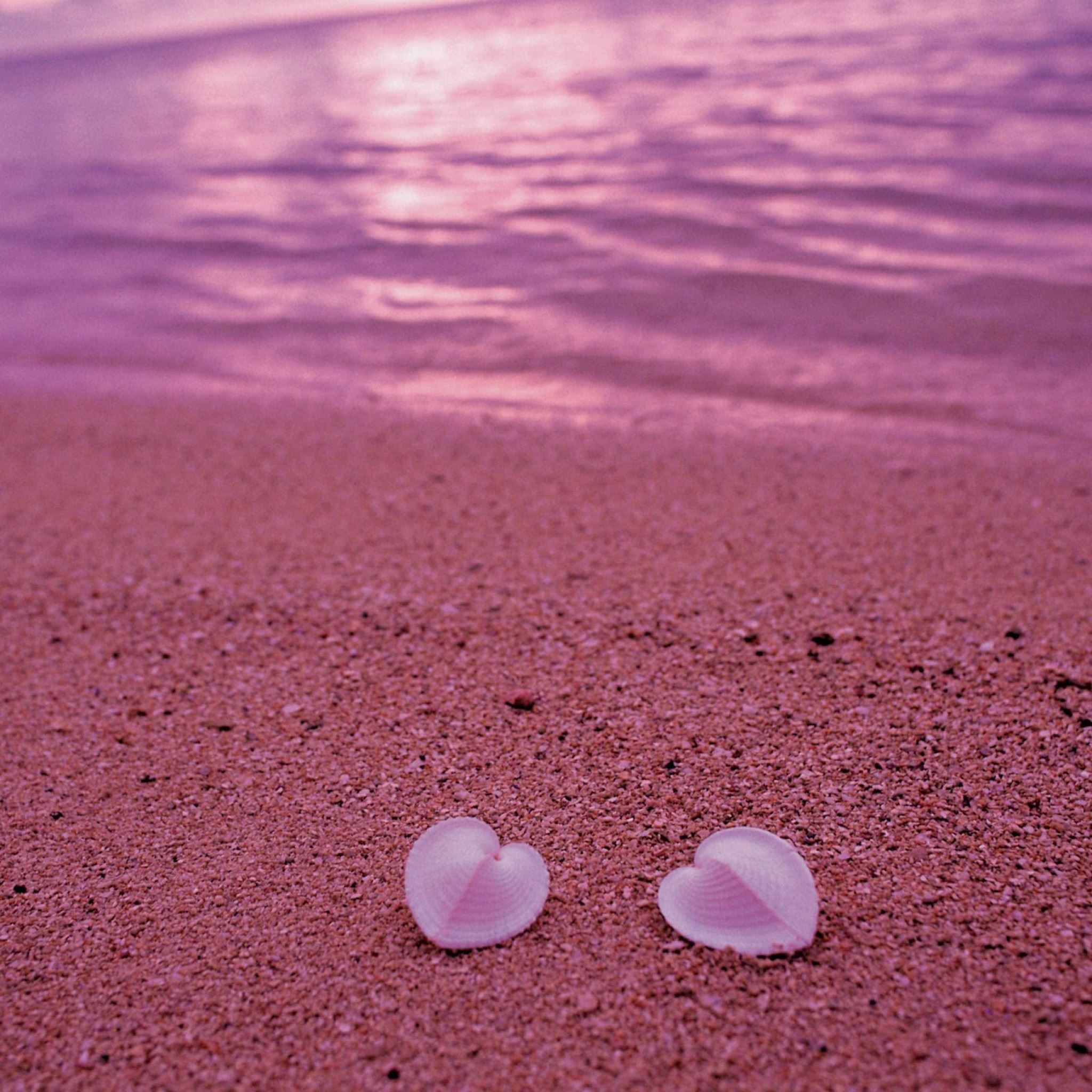Heart Shaped Seashells On Pink Beach iPad Air wallpaper 