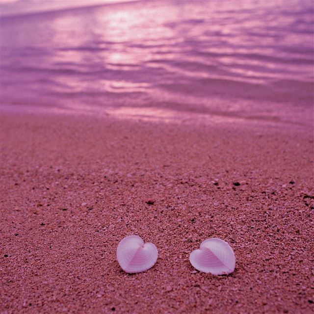 2048x2048 Heart Shaped Seashells On Pink Beach -  iPad Air Wallpaper