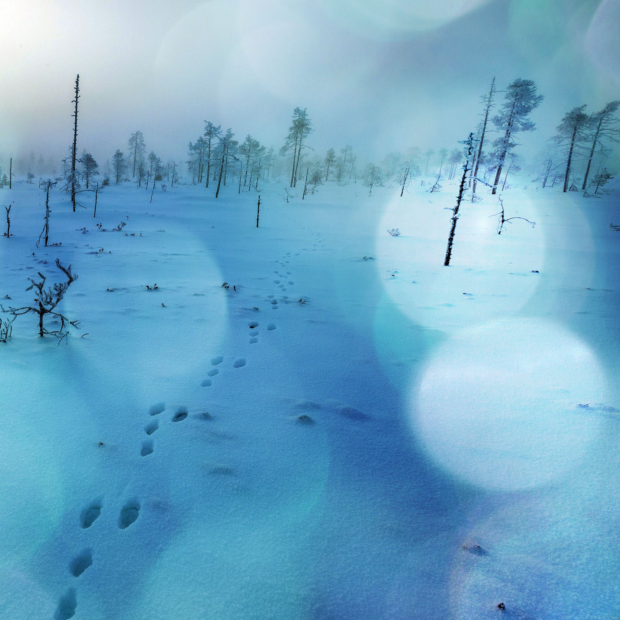 Snow Walk Winter Blue Bokeh Footprints Nature Mountain iPad Air wallpaper 