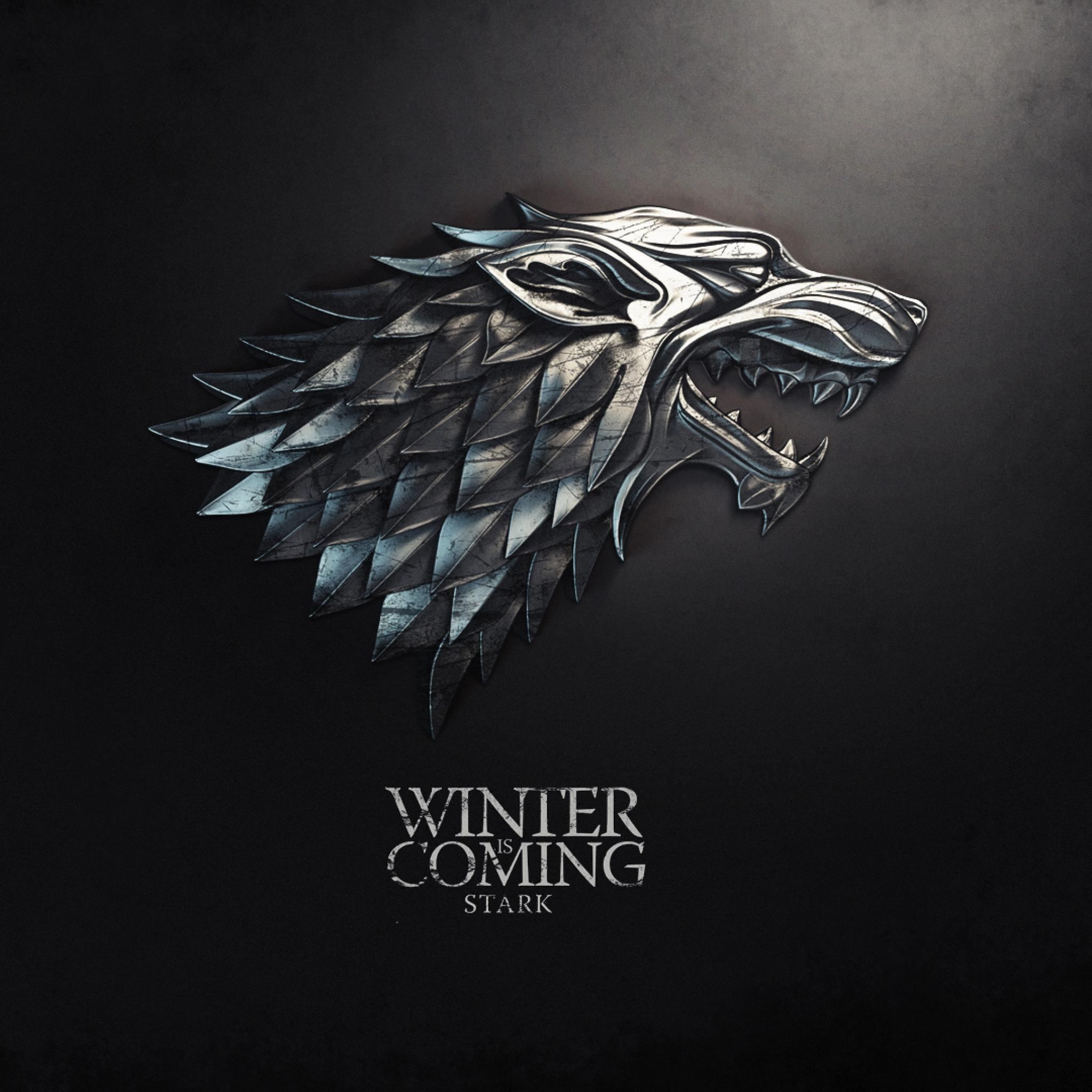 Thrones Winter Is Coming iPad Air wallpaper 