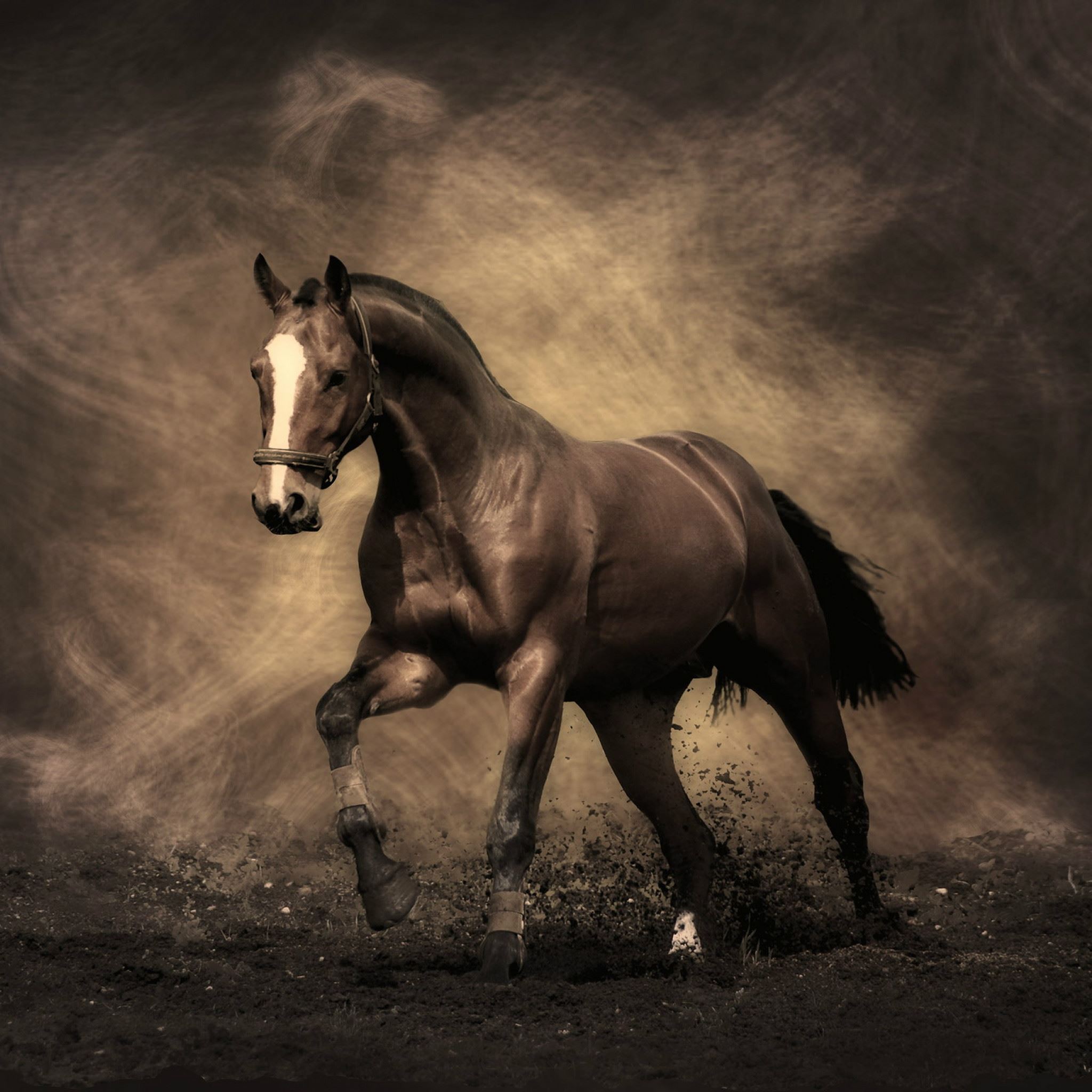 Running Horse Painting Art iPad Air wallpaper 