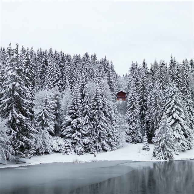 2048x2048 Mountain Chalet  Snow Pine Forest - black iPad Air Wallpaper