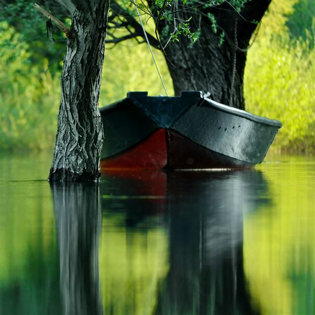 2048x2048 Parking Boat Calm Lake Tree Shadow - reflection iPad Air Wallpaper