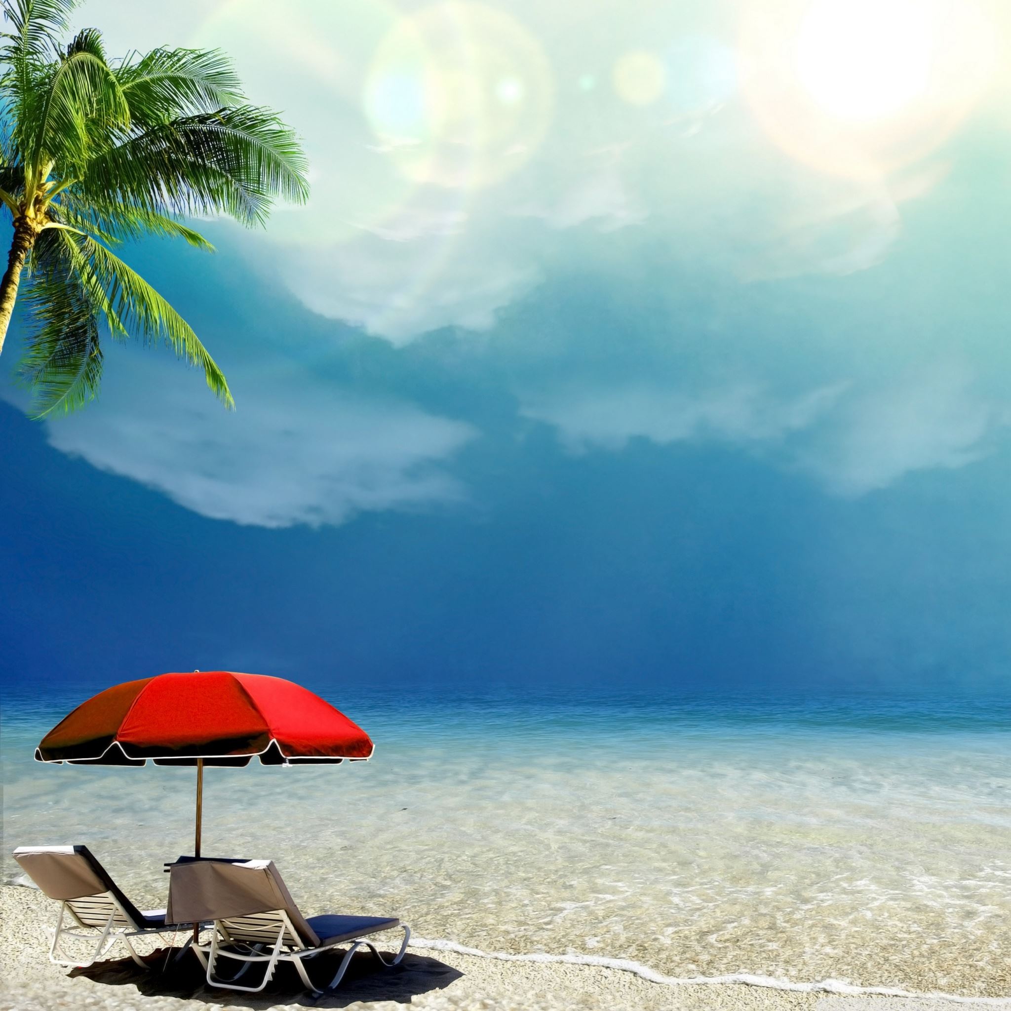 Tropical Paradise iPad Air wallpaper 