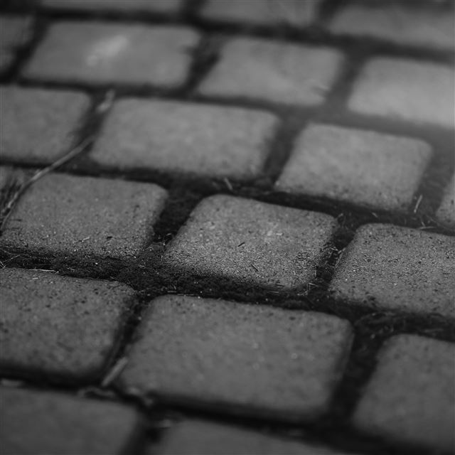 2048x2048 Garden Moss Stone Nature Road City Flare Dark -  iPad Wallpaper