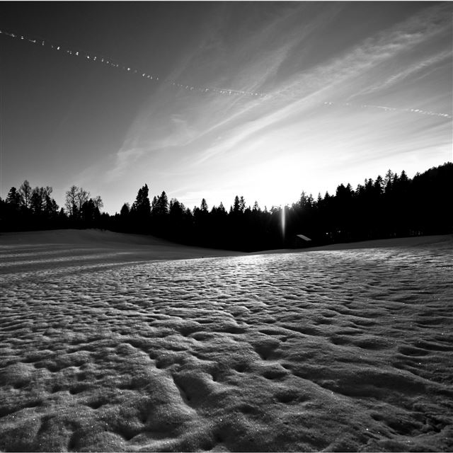 2048x2048 Wild Grove Winter Skyview Landscape - sand iPad Air Wallpaper